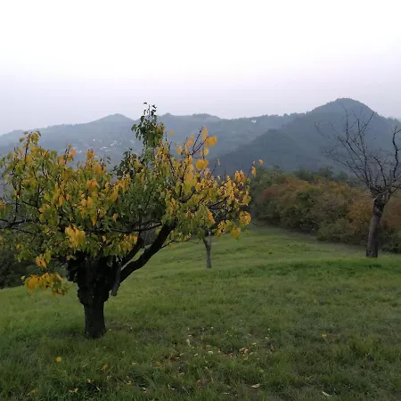 Eco B&B Erba Lucciola